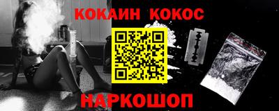 шишки Новодвинск