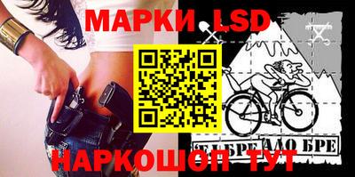 шишки Новодвинск