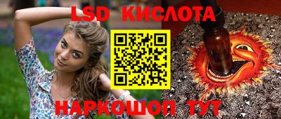 стафф Новокубанск