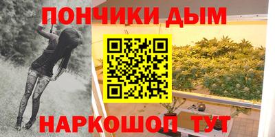 шишки Новодвинск