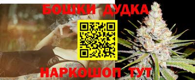 стафф Новокубанск