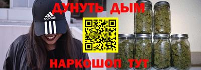 шишки Новодвинск