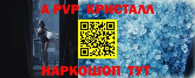 шишки Новодвинск