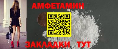 шишки Новодвинск