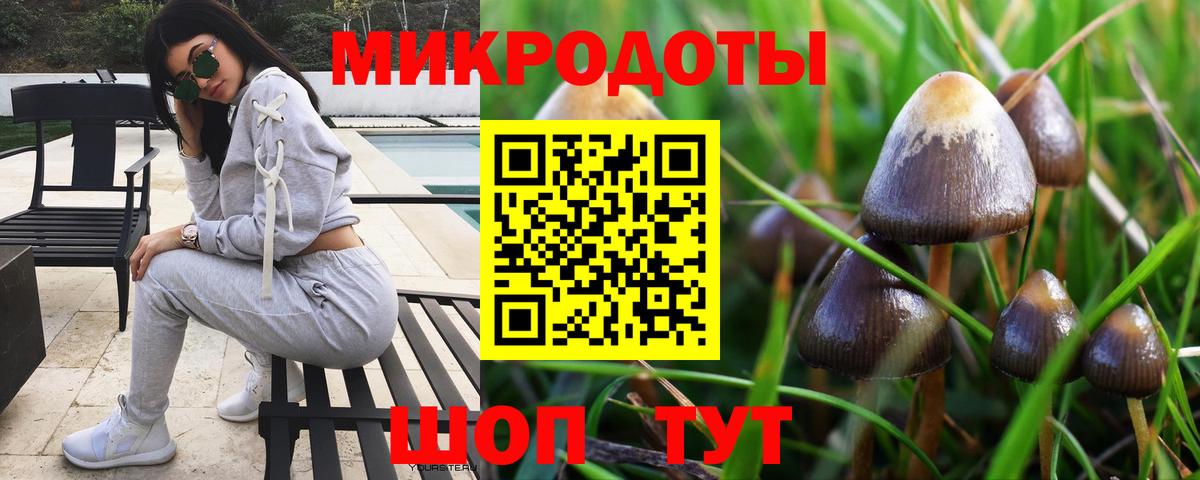 Солнечногорск  цены наркотик  Вход с VPN  Псилоцибиновые грибы GOLDEN TEACHER  Псилоцибиновые грибы Psilocybine cubensis 