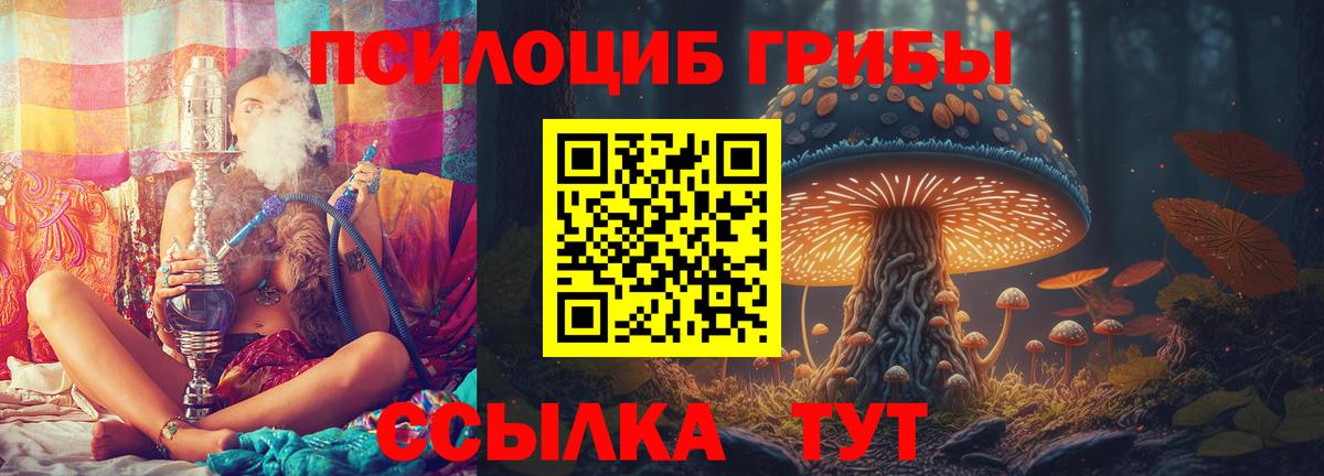 Галлюциногенные грибы прущие грибы Солнечногорск